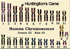 DNA